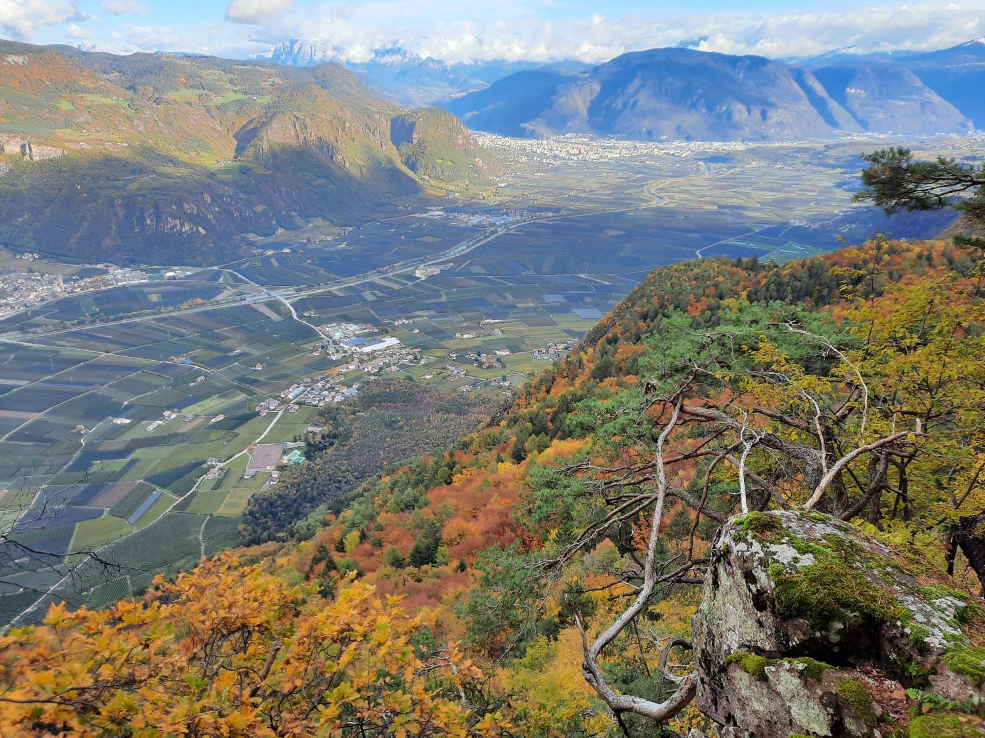 Tinnerhof Appiano Sulla Strada Del Vino Exterior foto