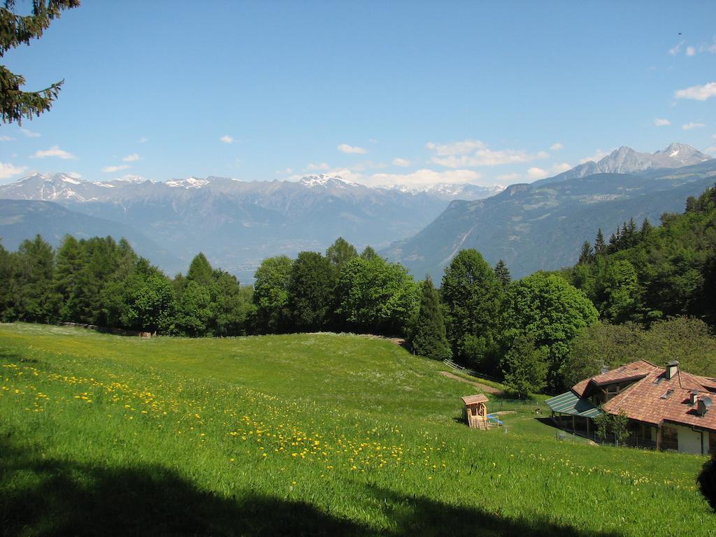 Tinnerhof Appiano Sulla Strada Del Vino Exterior foto