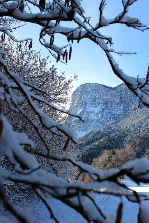 Tinnerhof Appiano Sulla Strada Del Vino Exterior foto