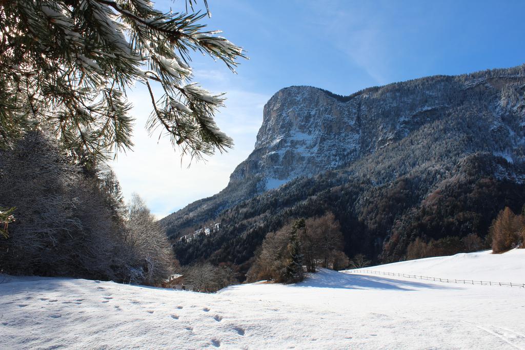 Tinnerhof Appiano Sulla Strada Del Vino Exterior foto