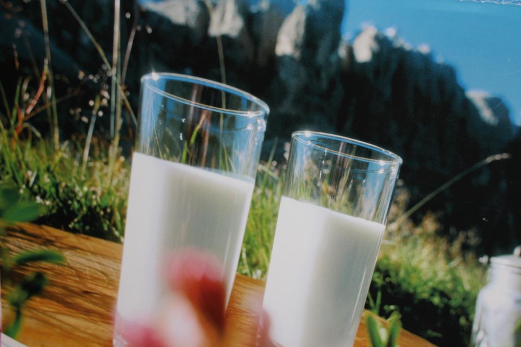 Tinnerhof Appiano Sulla Strada Del Vino Exterior foto