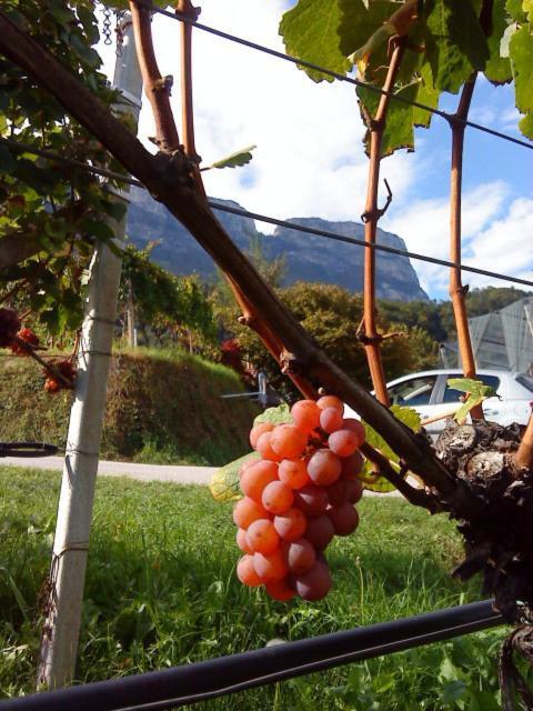 Tinnerhof Appiano Sulla Strada Del Vino Exterior foto